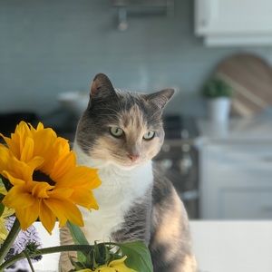 Meet your Posher, Sheryl